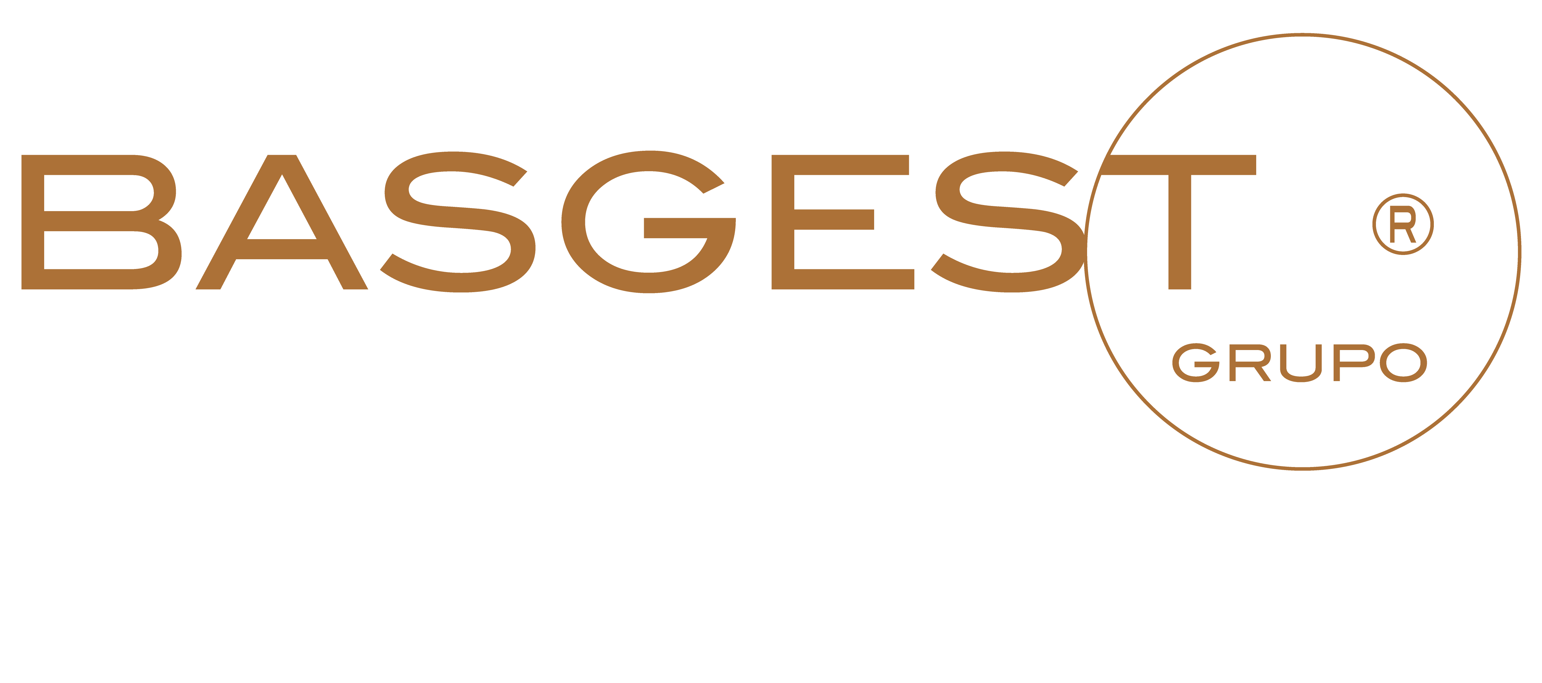 Grupo Basgest